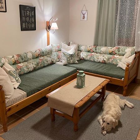 Hundefreundliche Bergwohnung Neben Der Skipiste - Mittelstation Skigebiet Gerlitzen Kanzelhohe Extérieur photo