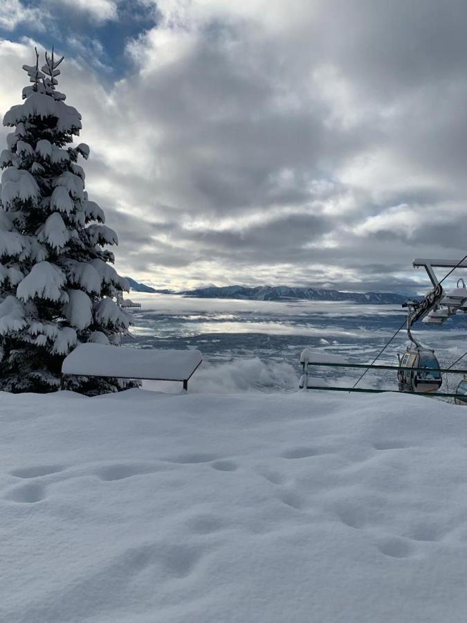 Hundefreundliche Bergwohnung Neben Der Skipiste - Mittelstation Skigebiet Gerlitzen Kanzelhohe Extérieur photo