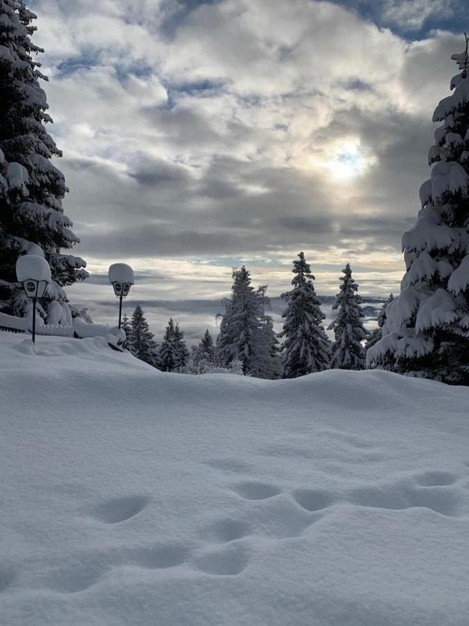Hundefreundliche Bergwohnung Neben Der Skipiste - Mittelstation Skigebiet Gerlitzen Kanzelhohe Extérieur photo