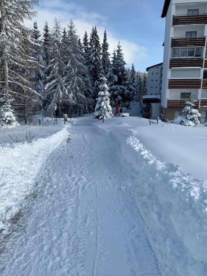 Hundefreundliche Bergwohnung Neben Der Skipiste - Mittelstation Skigebiet Gerlitzen Kanzelhohe Extérieur photo
