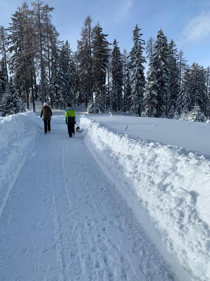 Hundefreundliche Bergwohnung Neben Der Skipiste - Mittelstation Skigebiet Gerlitzen Kanzelhohe Extérieur photo