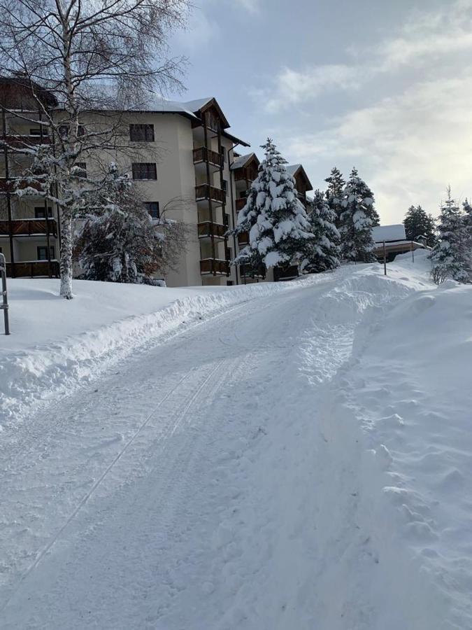 Hundefreundliche Bergwohnung Neben Der Skipiste - Mittelstation Skigebiet Gerlitzen Kanzelhohe Extérieur photo