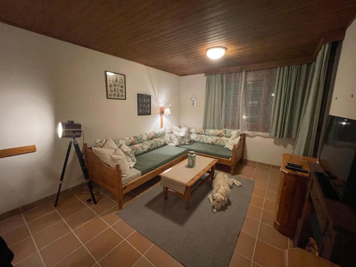 Hundefreundliche Bergwohnung Neben Der Skipiste - Mittelstation Skigebiet Gerlitzen Kanzelhohe Extérieur photo