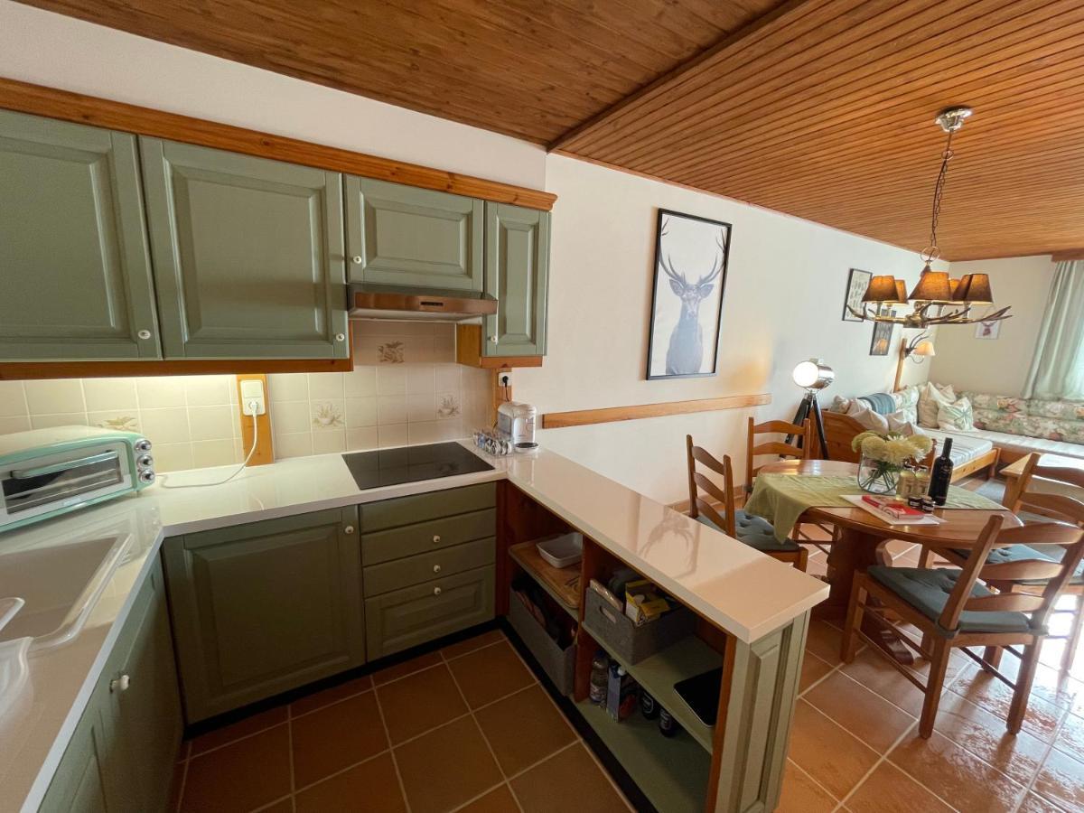 Hundefreundliche Bergwohnung Neben Der Skipiste - Mittelstation Skigebiet Gerlitzen Kanzelhohe Extérieur photo