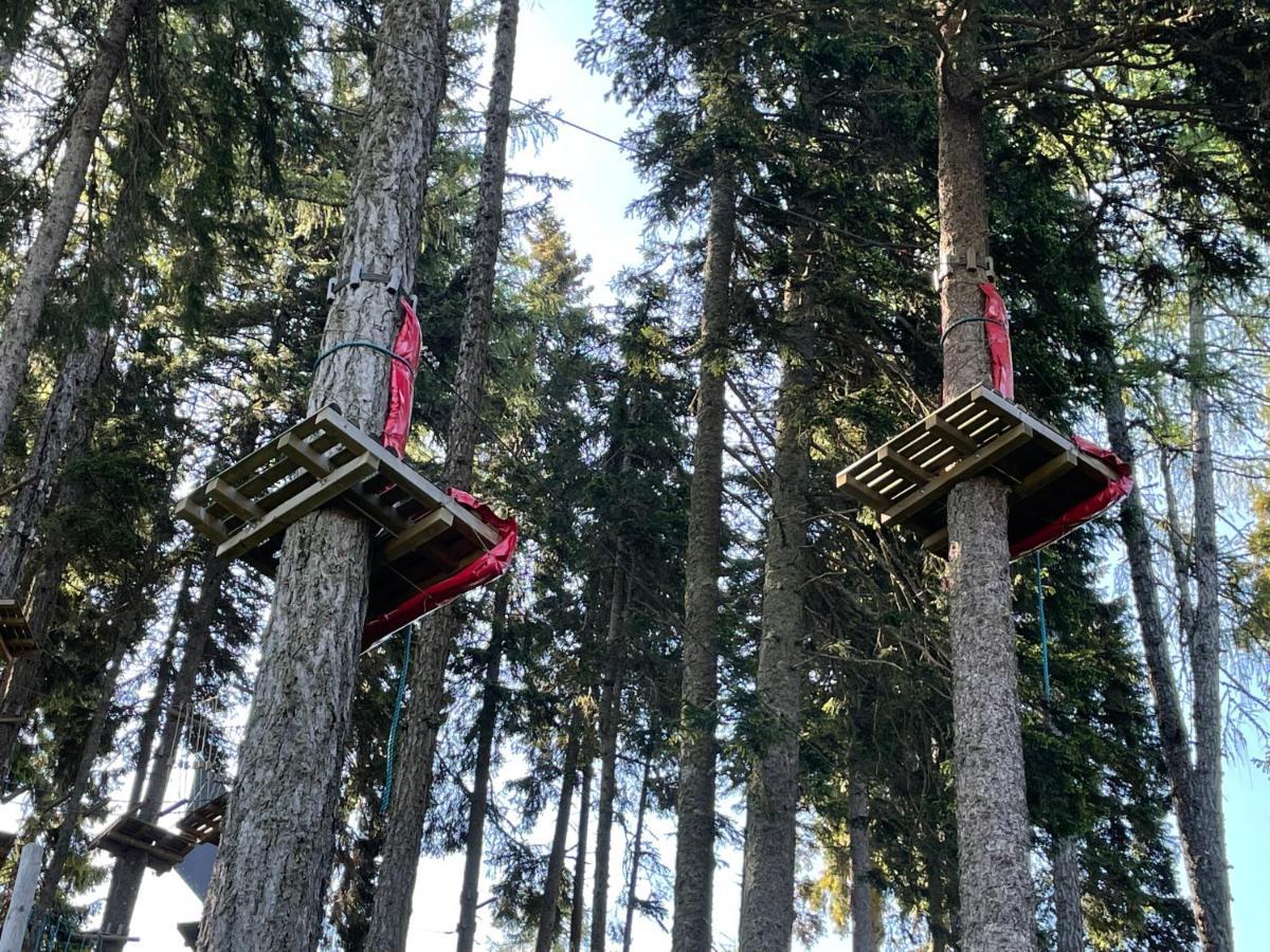 Hundefreundliche Bergwohnung Neben Der Skipiste - Mittelstation Skigebiet Gerlitzen Kanzelhohe Extérieur photo