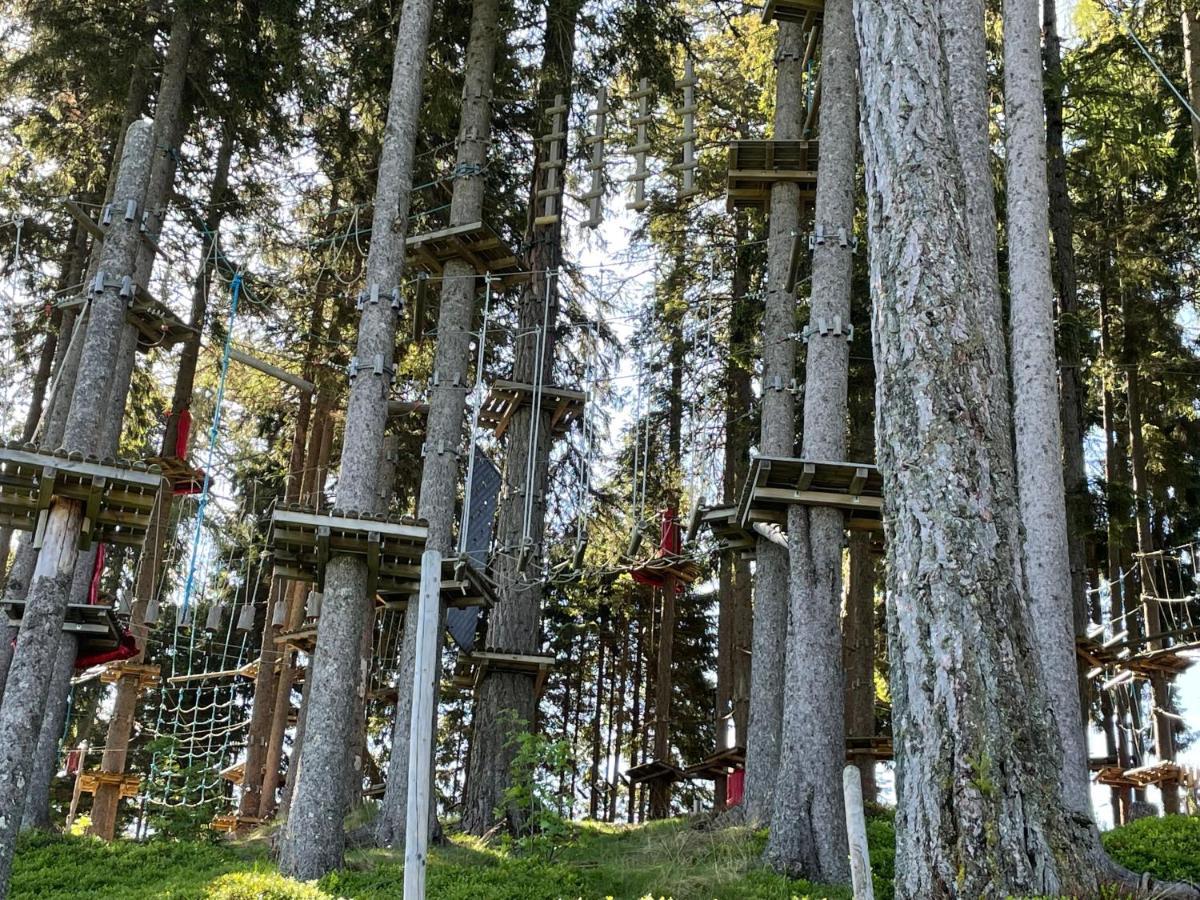 Hundefreundliche Bergwohnung Neben Der Skipiste - Mittelstation Skigebiet Gerlitzen Kanzelhohe Extérieur photo